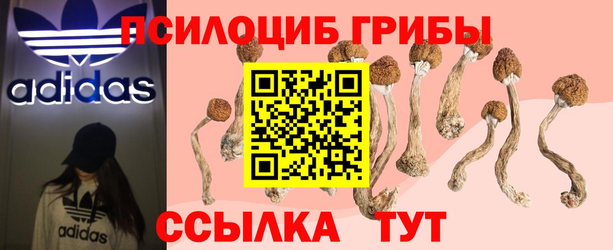 Качканар  Галлюциногенные грибы Cubensis  Вход с VPN  Псилоцибиновые грибы Cubensis 
