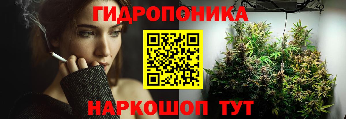 Конопля Bruce Banner Качканар